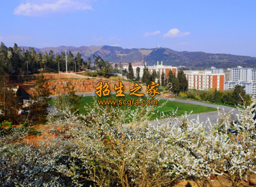  云南机电职业技术学院2020年大专层次招生专业