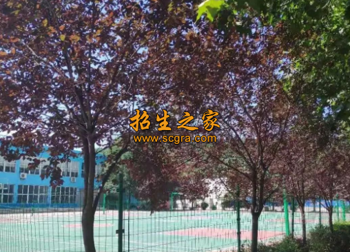 陕西科技技师学院2020年招生专业