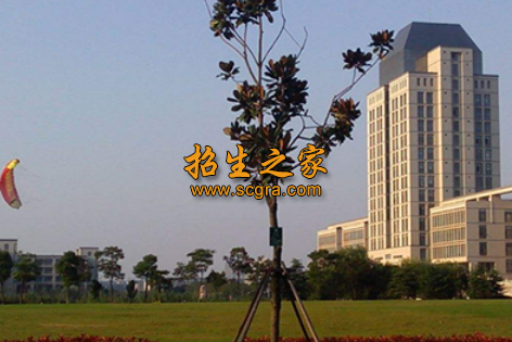 成都棠湖科学技术学校2020年招收条件