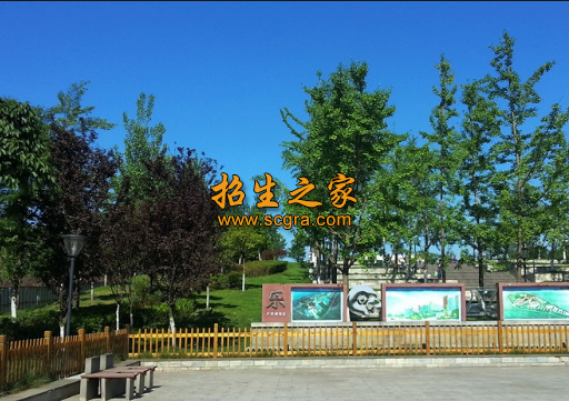 成都工业职业技术学院2020年收费情况