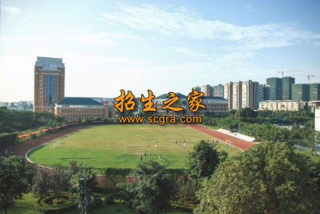 四川文化产业职业学院2020年收费情况