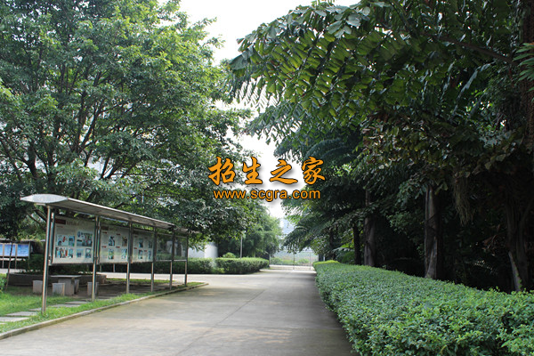 学校环境