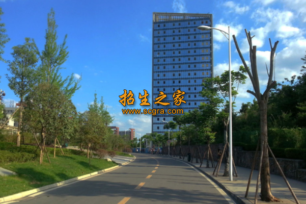学校风景