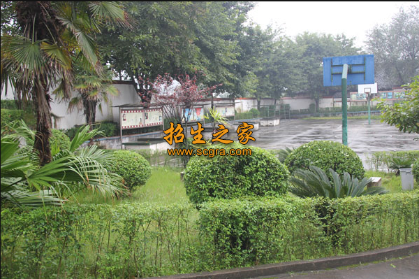 学校环境