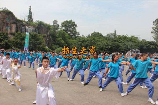 武术学习