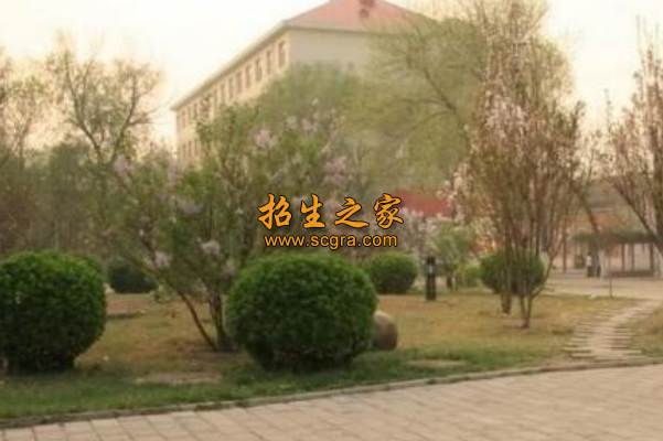 学校环境